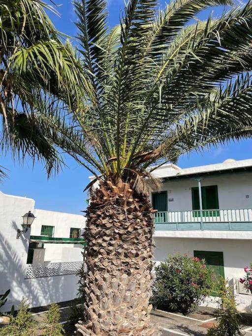 Apartamento Amura En Playa De Las Cucharas Costa Teguise Exterior photo